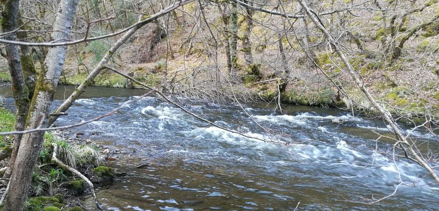 La Luzège, rivière qui traverse Messence